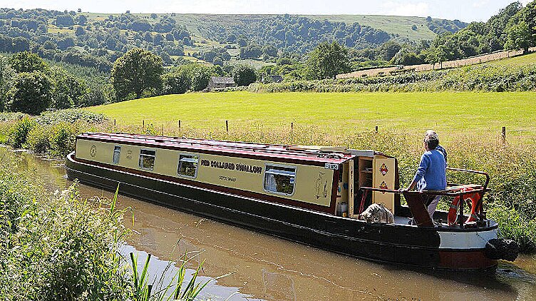 Swallow, 4-8 personer