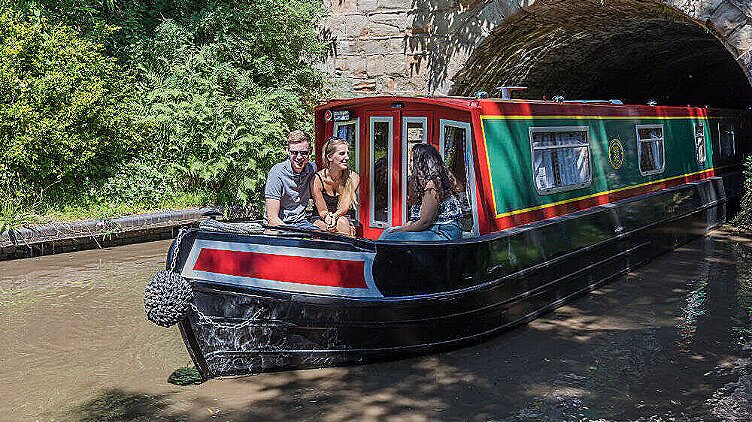 Warbler/Goose, 6-8 personer